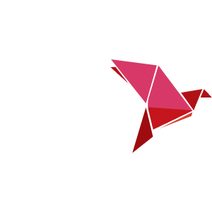 BKash logo.
